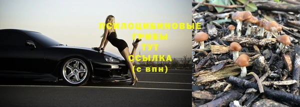 МДМА Белокуриха